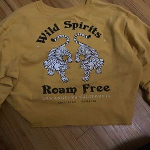 Hollister tiger shirt